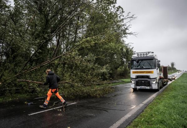 Un homme dégage des branches d'un arbre tombé sur la chaussée de la route départementale D924, près d'Équilly (Manche), en Normandie, le 23 octobre 2026, alors que la tempête Austen balayait le nord-ouest de la France 
