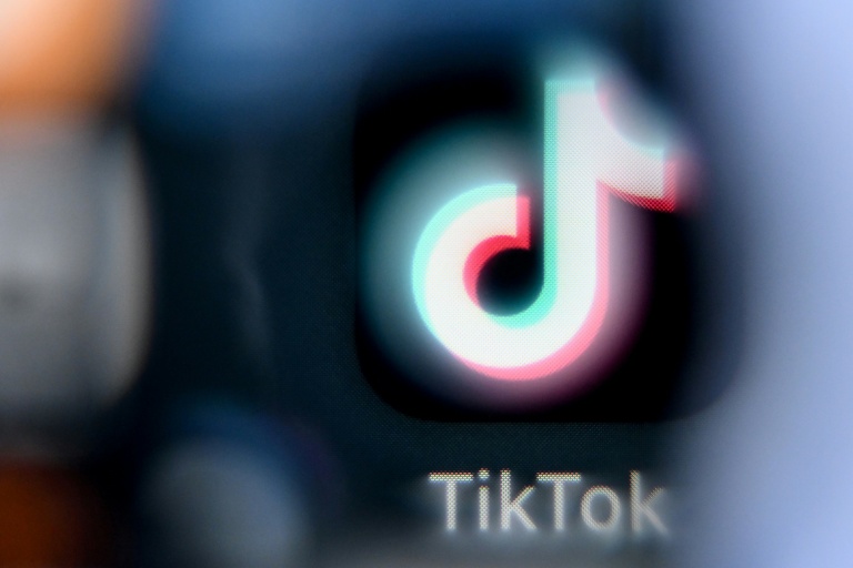 Seize familles ont demandé que l'enquête à Paris sur TikTok soit étendue, elles accusent  le réseau social d'instrumentaliser 