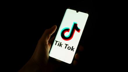 Plusieurs pays de l'Union européenne s'inquiètent des dangers des réseaux sociaux, notamment TikTok, pour les enfants