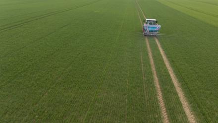 Cultiver sans pesticide tout en conciliant rendement et performance économique, "c'est possible" pour l'institut de recherche Inrae