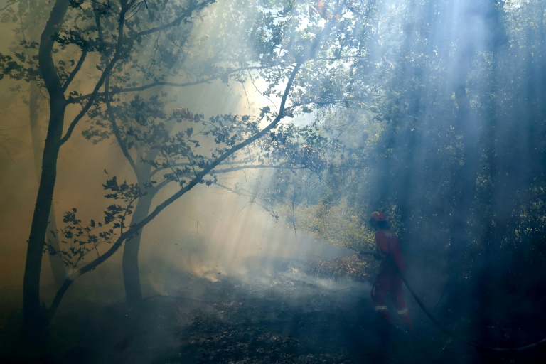 Un pompier dans une forêt incendiée à Sarande, en Albanie, le 12 août 2025
