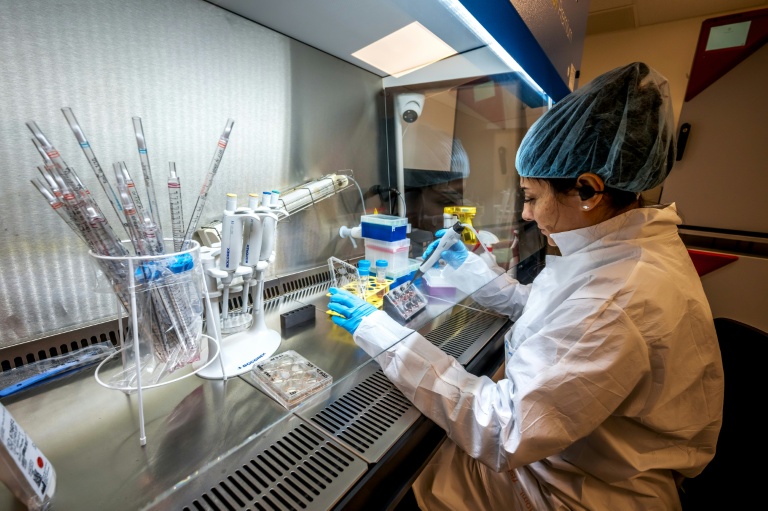Une employée travaille dans le laboratoire de la start-up FinalSpark, le 3 octobre 2025 à Vevey, en Suisse