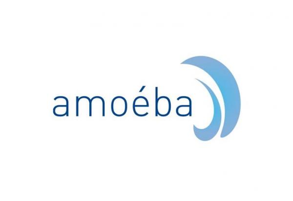 Amoeba : les Pays-Bas autorisent l'utilisation d'AXPERA contre l'oïdium et le mildiou sur plusieurs cultures majeures sous serre