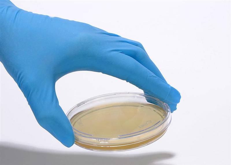 BioMerieux affiche 7,3% de croissance organique des ventes sur les 9 premiers mois de l'année