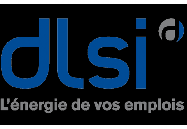 DLSI : évolution de la gouvernance