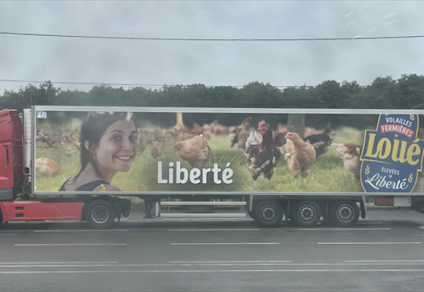 LDC : un résultat net semestriel en hausse à 136,9 ME