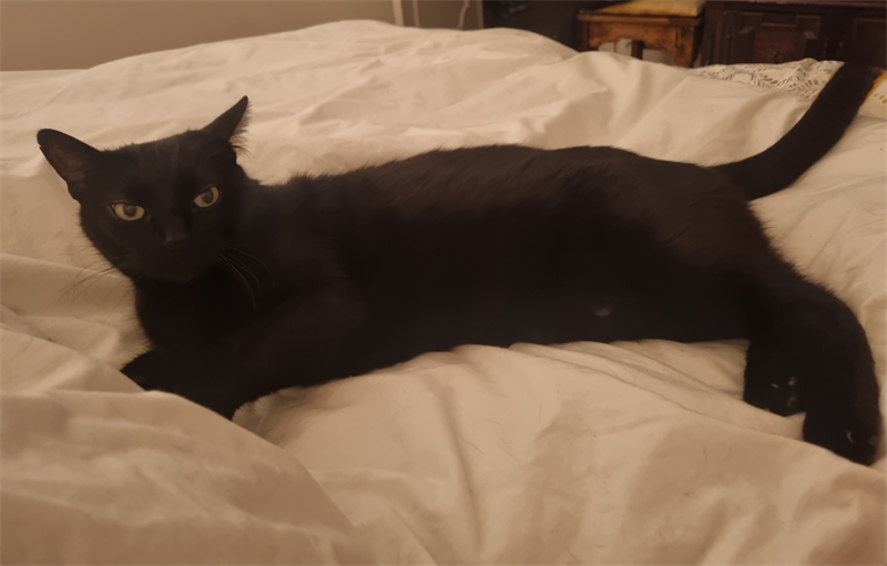 Nestlé : important investissement au Brésil