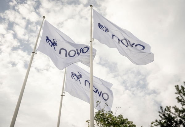 Novo Nordisk retombe en bourse