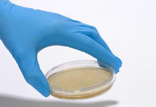 Oxford Nanopore et bioMérieux lancent AmPORE-TB