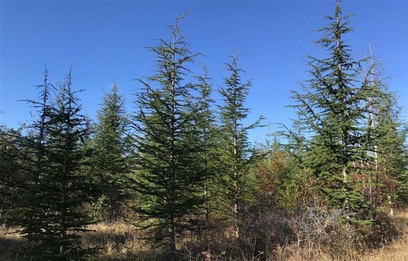 Quadient franchit une nouvelle étape de performance environnementale