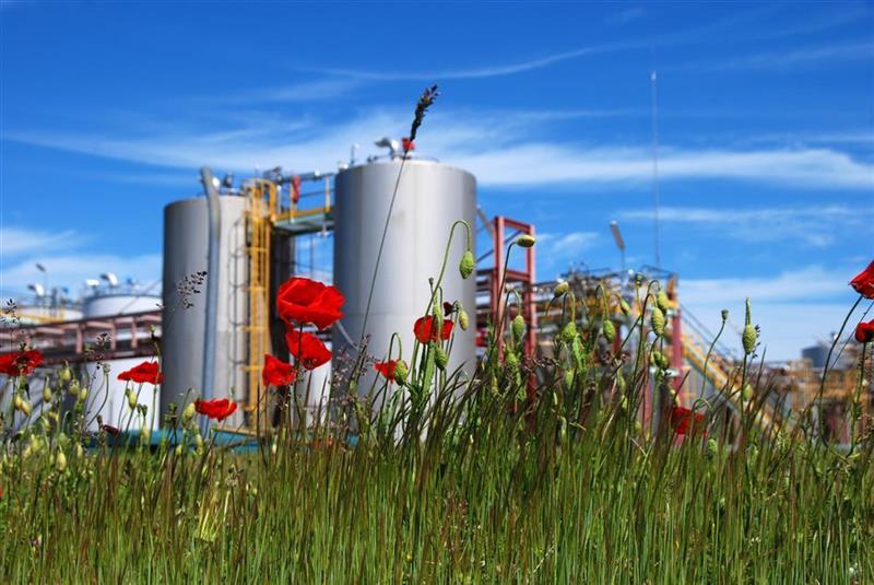 Séché Environnement : recule encore après sa chute d'hier