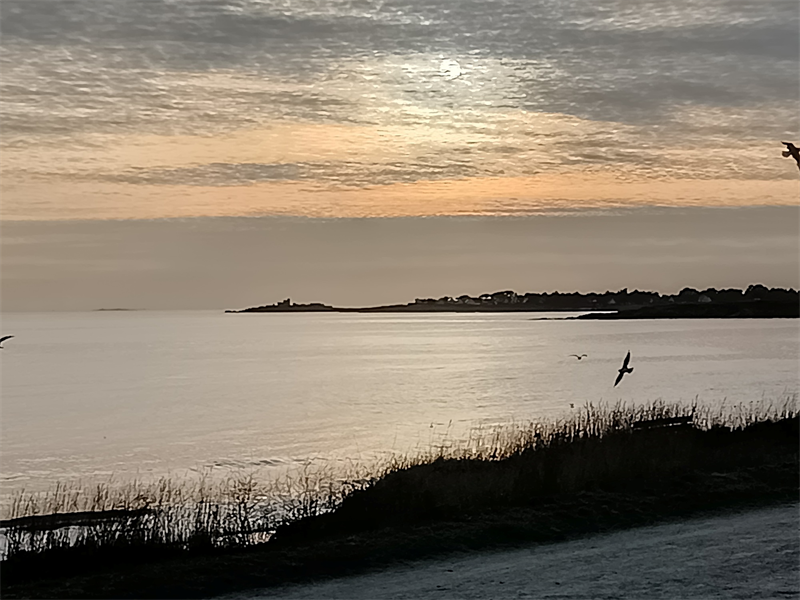 SMAIO : nomme un directeur commercial