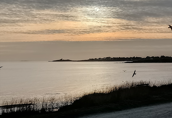 SMAIO : nomme un directeur commercial