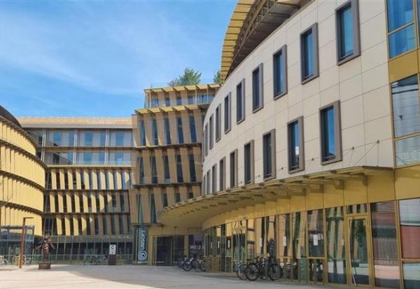 Ubisoft : nouvelle étape pour The Rogue Prince of Persia