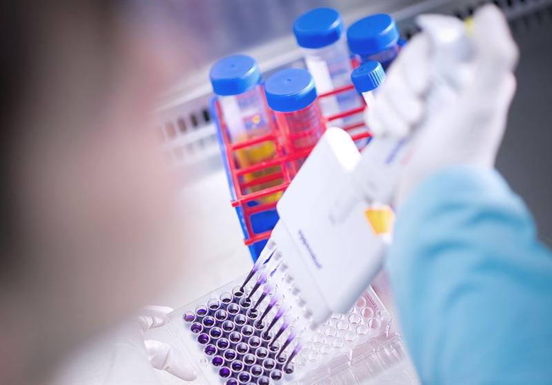 Valneva : -35% depuis le 1er janvier