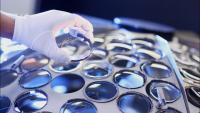 AlphaValue reste à l'achat sur EssilorLuxottica malgré le flou sur la gouvernance