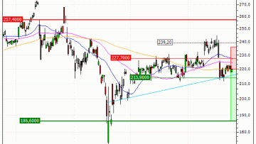 Schneider Electric SE : Achat du turbo PUT IL01V (IL01V)